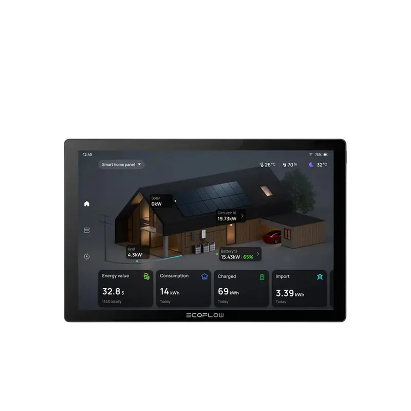 EcoFlow PowerInsight 2