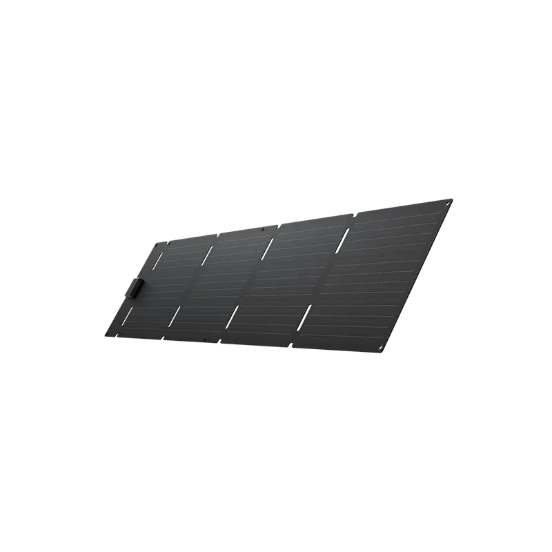 Pannello solare portatile da 60 W EcoFlow