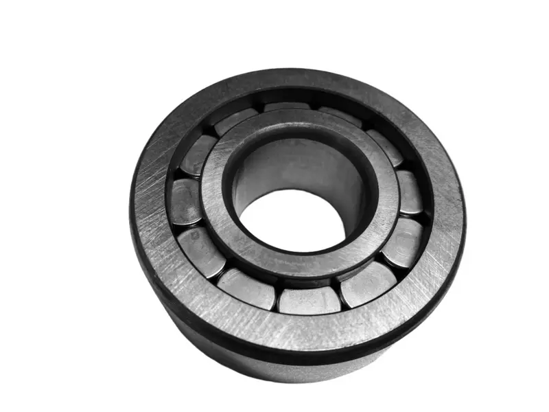 SL192305 Schaeffler Cylindrical Roller Bearing
